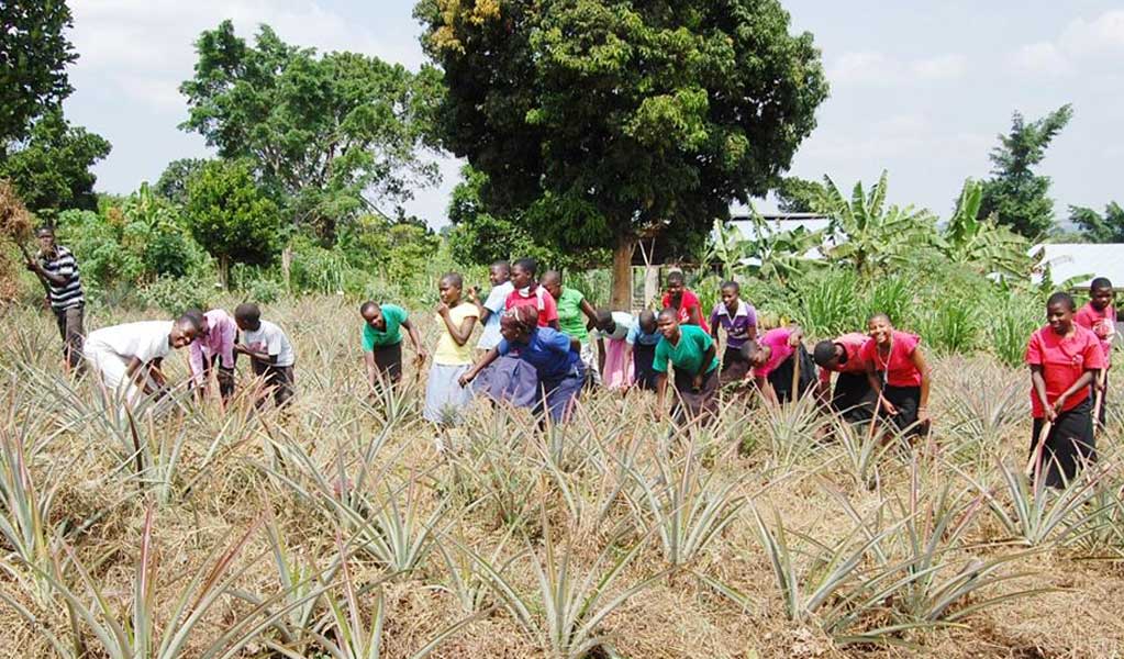 Agricultural Skilling College