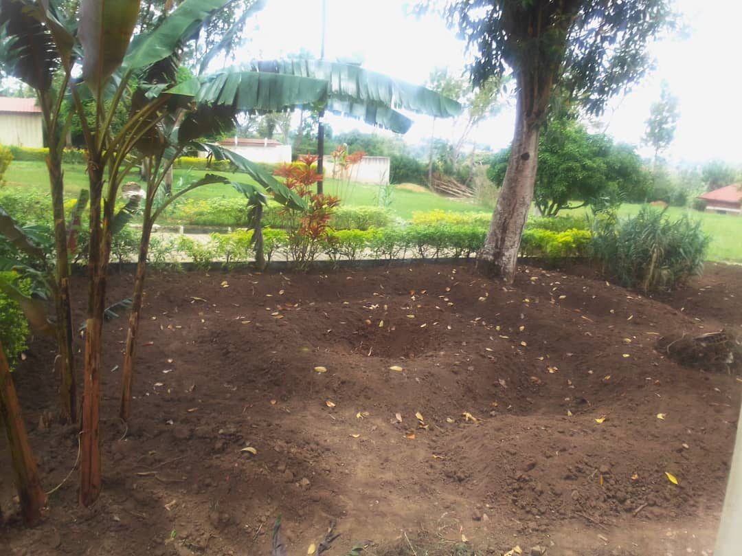 LCDI horticulture garden photograph 11