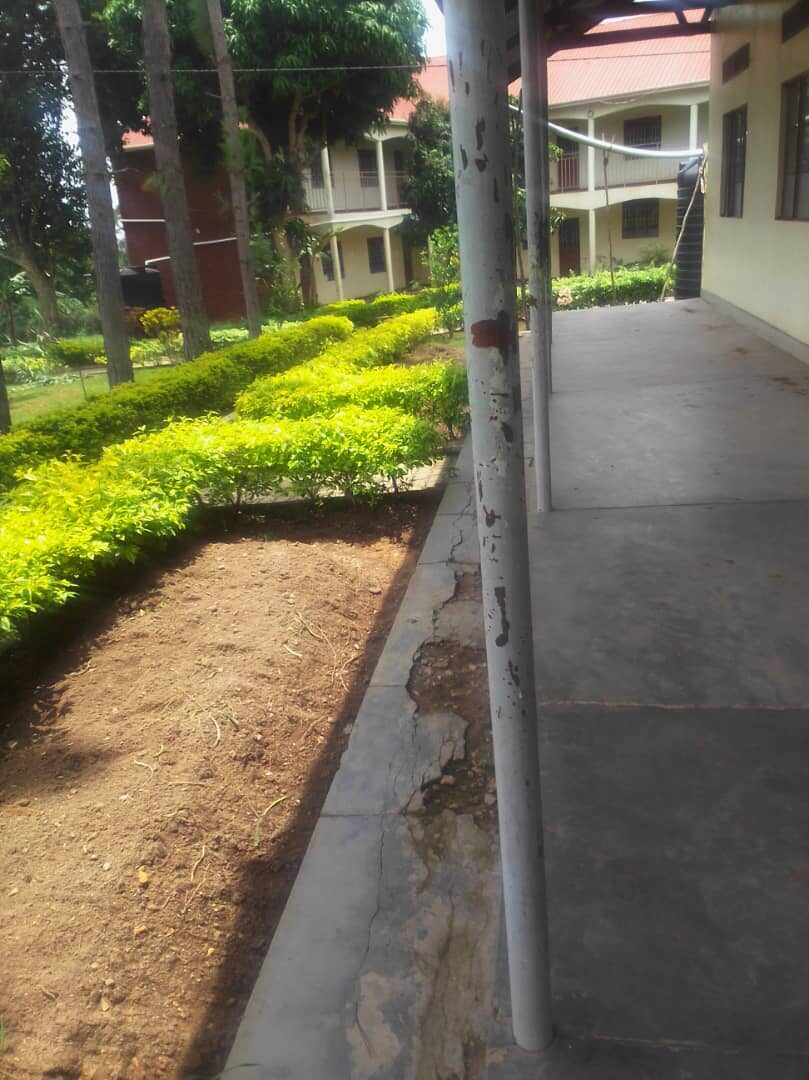LCDI horticulture garden photograph 12