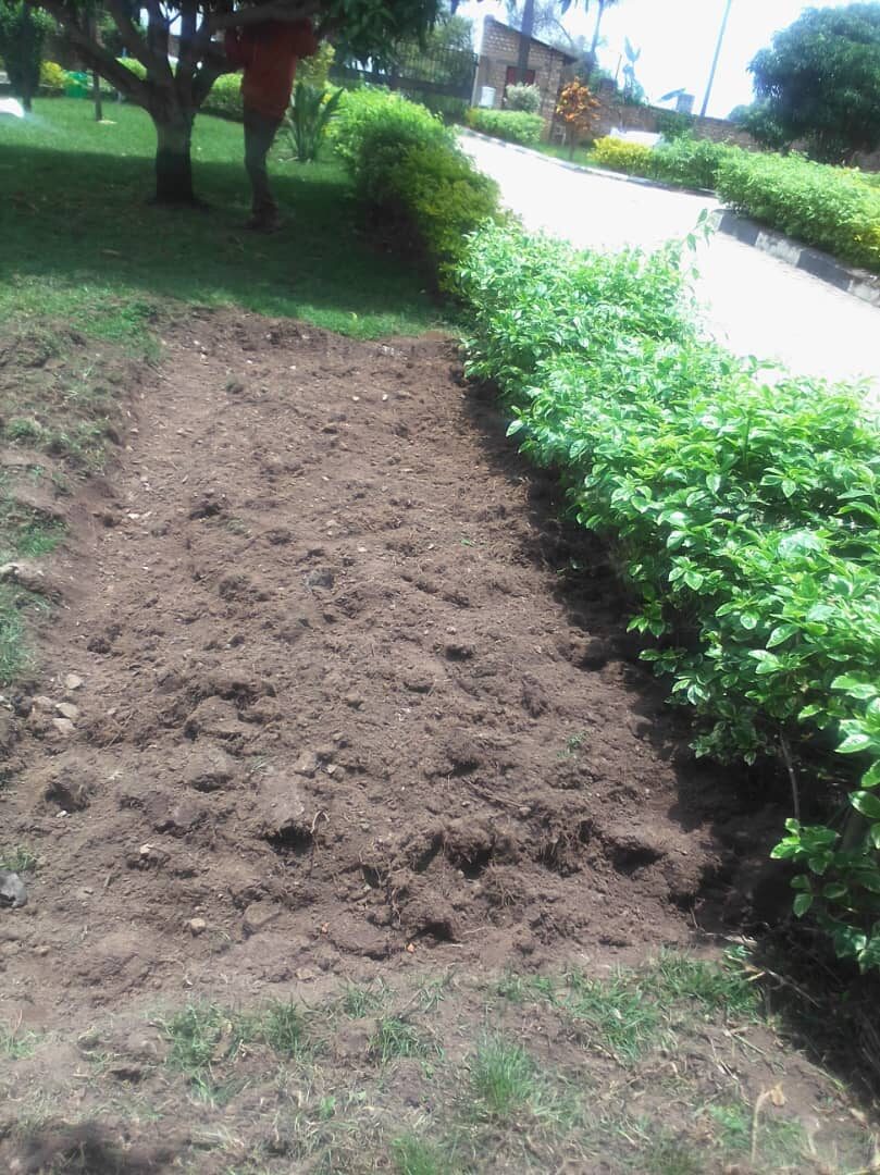 LCDI horticulture garden photograph 13