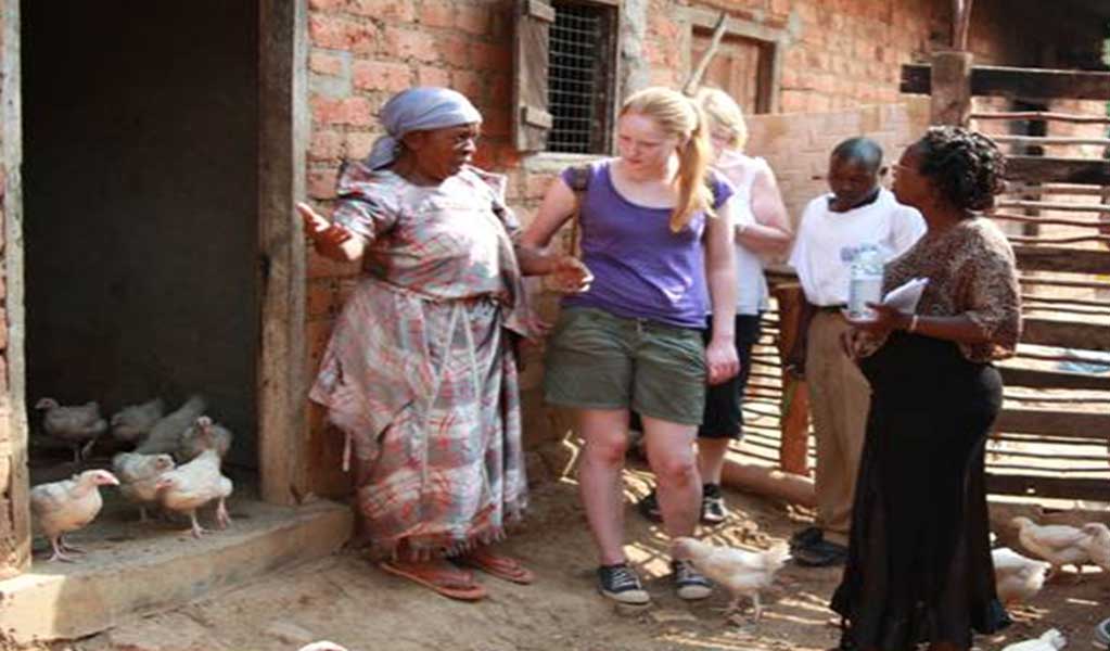Women Micro Enterprises